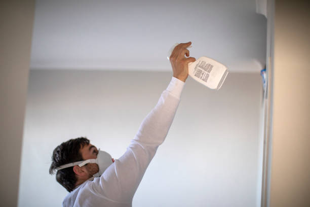 Best Mold Damage Repair  in Hampton, GA