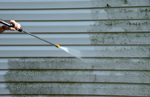 Certified Mold Removal in Hampton, GA