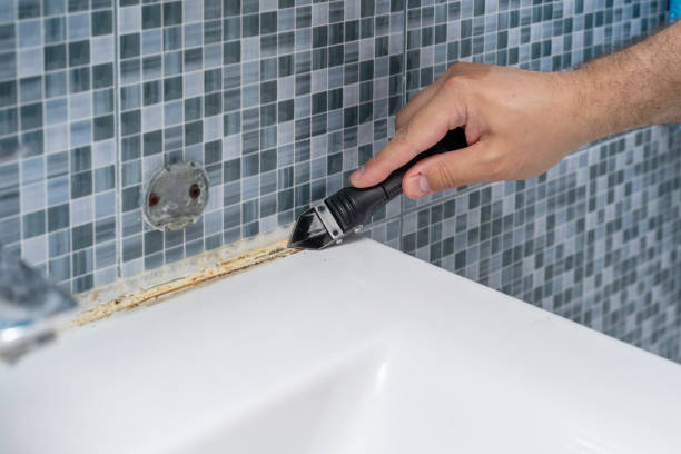 Best Emergency Mold Removal  in Hampton, GA