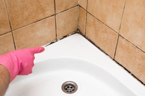Best Mold Cleaning Services  in Hampton, GA